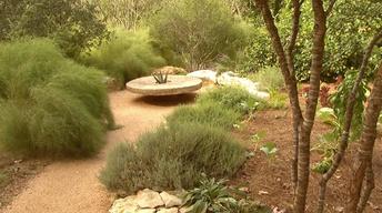 Drought Garden Balance