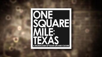 One Square Mile Trailer image