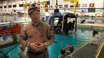 Birds of Smell, Helicopter Training & Remembering DDay