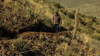 El Paso Trails, Saving Some Bison & Shifting Sands