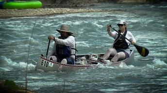 Texas Water Safari, Loggerhead Shrikes & Woodpeckers