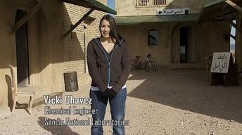 Vicki Chavez image