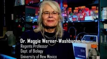 Maggie Werner-Washburne image