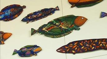 David Castleberry's Colorful Fish