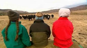 Season 21, Episode 1: Crossing the Urban-Rural Divide image