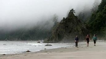 Backpacking the Olympic Coast image