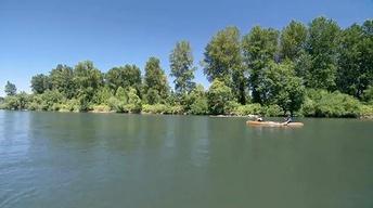 Willamette Greenway image
