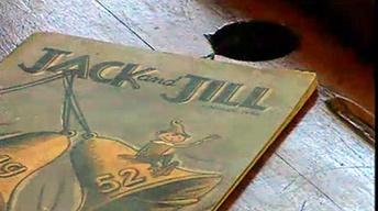 Lessons From the Past: History and Life in a Missouri... image