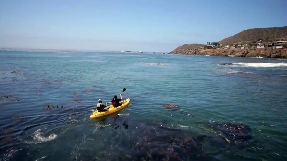 Kayaks and Kumiai image