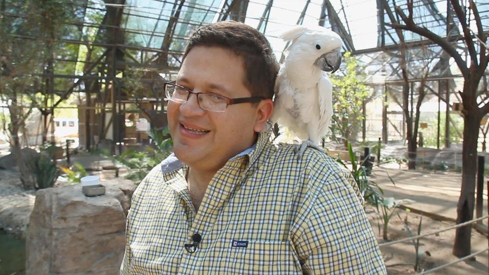 Mexicali: Zoo & Brew image