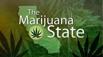 The Marijuana State image