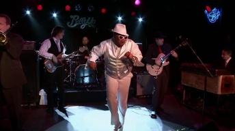 Live at the Belly Up: The Styletones and Bushwalla image
