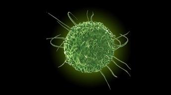 CANCER image