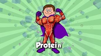71 Proteins
