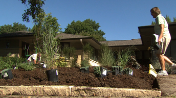 A Rain Garden and Eastern Nebraska image