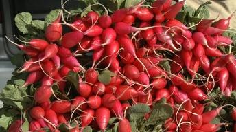 Homefields: Digging Into Local Food image