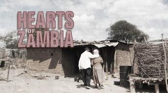 Hearts of Zambia image