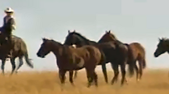 Cowboys on the Open Range