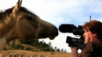 Black Hills Wild Horse Sanctuary Revisited