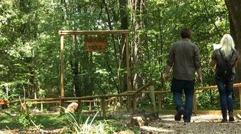 A Trip through Monroe County, Tennessee