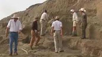 Dino Dig! image