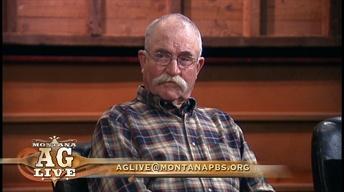 Looking At The Montana Board Of Livestock ( No. 4508 )