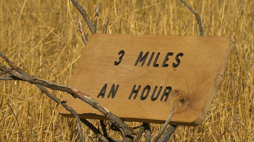 3 Miles An Hour image