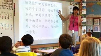 Dual Immersion