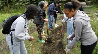 Edible Schoolyard