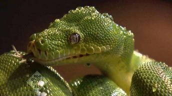 Sacramento Zoo image