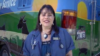 Mobile Vet Connection