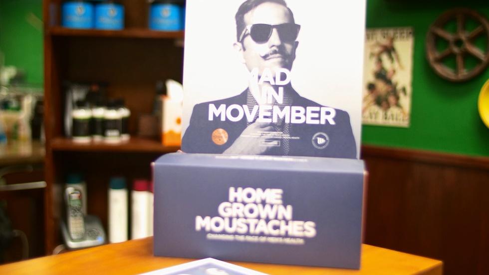 Movember 2014 image