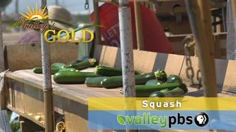 PREVIEW | Episode 9: Squash