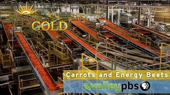 Episode 13: Energy Beets & Carrots
