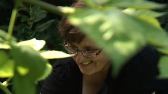 Sylke Boyd image