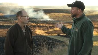 Fowl in the Air, Fire on the Ground