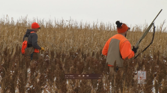 Aberdeen Pheasant Hunt