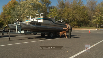 AIS Minute: Zebra Mussel Sniffing Dog