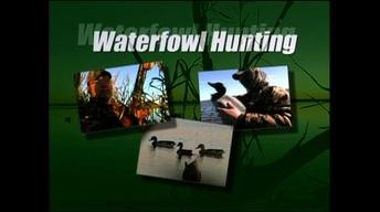 On the Hunt: Duck, Goose and Deer