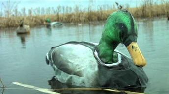 Creating Wooden Duck/Goose Calls