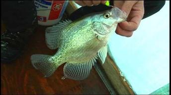 South Dakota Ice Fishing - 6009