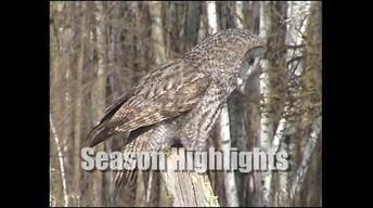 Highlights of the Season - 6013