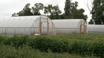 High School and High Tunnels