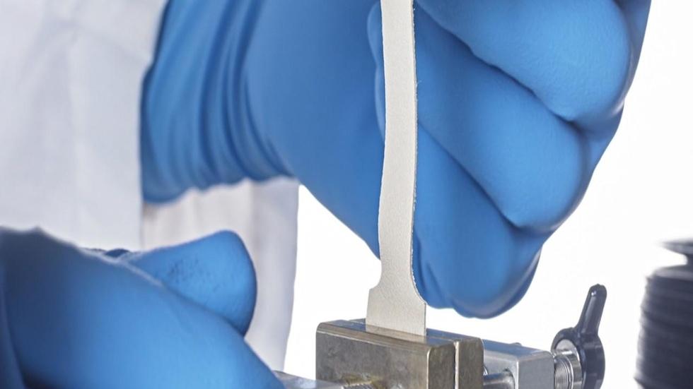 A company growing animal-free leather in a lab image