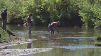 Marsh Creek Mud Mystery
