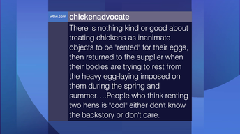 Viewer Feedback: ‘Treating Chickens as Inanimate Objects’ No
