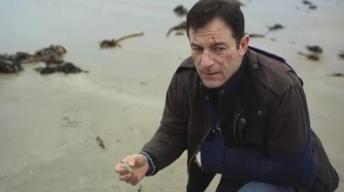 Masterpiece Mystery!: Case Histories DVD image
