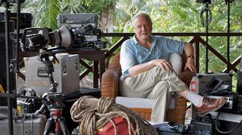 Life Stories (David Attenborough) image