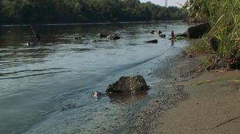 DEC Rejects EPA Review of Hudson River Cleanup