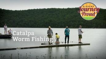 Catalpa Worm Fishing